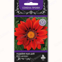 Газания Нью Дей Ред Шейдес Поиск Ц