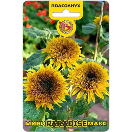 Семена Подсолнух мини-макс Парадиз Биотехника Ц