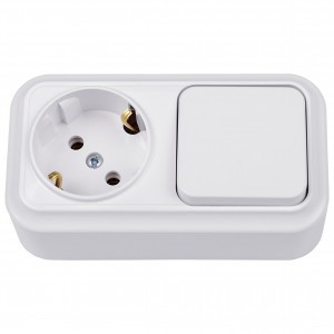 Bylectrica Вариант Блок (1 кл. выкл. 10А + роз 16А (земля) ОУ (корп. ABS) белый В-РЦ-7112