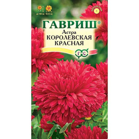 Астра Королевская красная Гавриш Ц