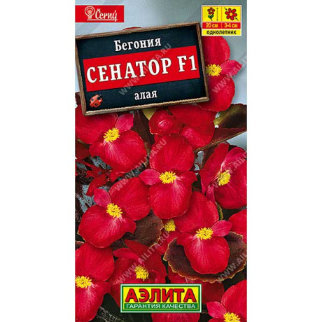 КОМ Бегония Сенатор алая Аэлита Ц