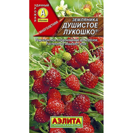 Земляника Душистое лукошко Аэлита Ц