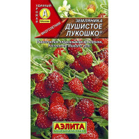 Земляника Душистое лукошко Аэлита Ц