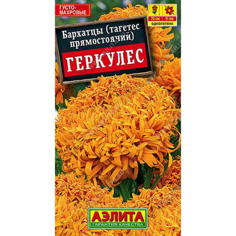 Бархатцы Геркулес Аэлита Ц