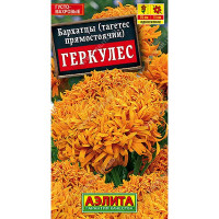 Бархатцы Геркулес Аэлита Ц