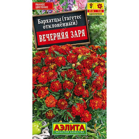 Бархатцы Вечерняя заря Аэлита Ц