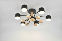 General Люстра 6GX53 50W 650х200 230V черный, мет/дер Альберто без пульта IP20 662328