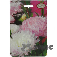 К Астра Яблунева Каприс