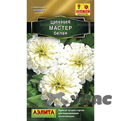 Циния Мастер белая Аэлита Ц х10