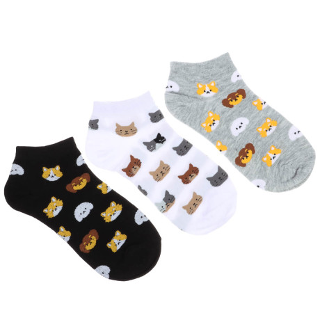 GALANTE Носки женские, р.23-25, 85% хлопок, 10% полиэстер, 5% спандекс, разноцветные, НН22-13