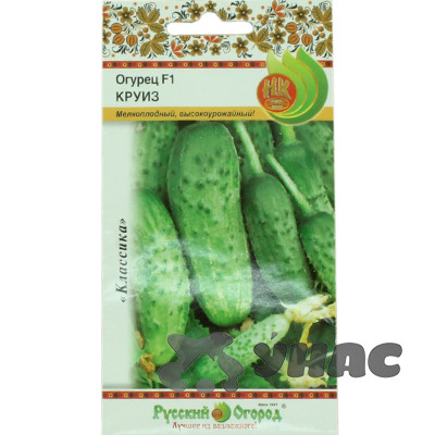 Огурец Круиз НК Ц