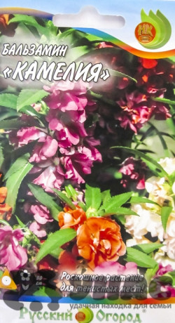 Бальзамин Камелия (смесь)НК Ц