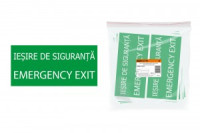 TDM Знак 200х100мм &quot;ЗАПАСНЫЙ ВЫХОД&quot; (румынский язык) (10!) SQ0817-0076