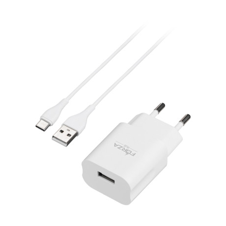 FORZA Комплект СЗУ 10Вт + кабель Type-c 110-240 В, 50-60 гц, 10 Вт, кабель 2 А, пластик