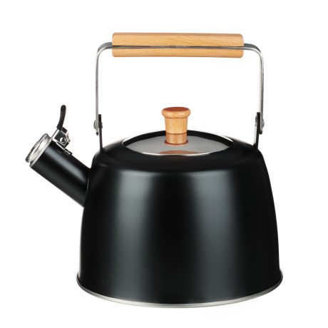 SATOSHI Нера Чайник 2,5л нерж.сталь, индукция (ID-K621)