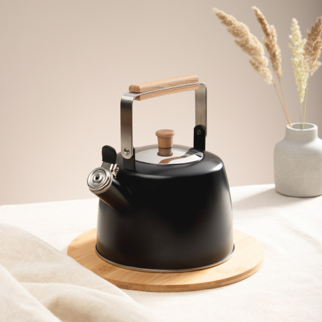 SATOSHI Нера Чайник 2,5л нерж.сталь, индукция (ID-K621)