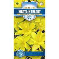 Аквилегия Желтый гигант Гавриш Ц