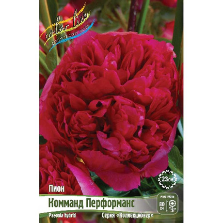 Пион Комманд Перформанс 3/5 n 1 шт