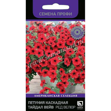 Петуния Тайдал Вейв Ред Велюр Поиск Ц