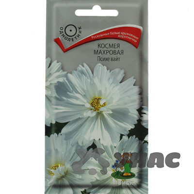 Космея Психе Вайт махр. Поиск Ц