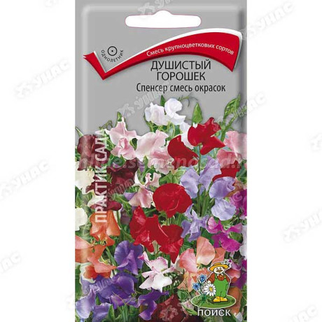 Душистый горошек Спенсер смесь Поиск Ц