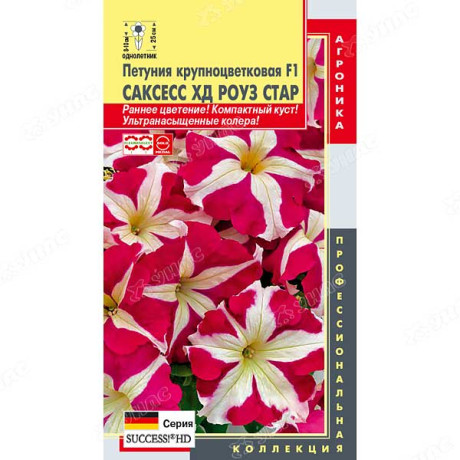 Петуния Саксесс ХД Роуз Стар Плазма Ц