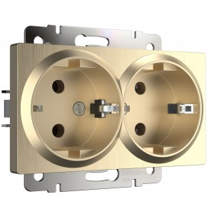 Werkel мех. роз. СУ 2 мест. 16A земля (шампань рифленый)  (WL10-SKG-02-IP20 a041868)W1172010 a051432