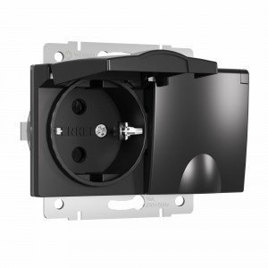 Werkel мех. роз. СУ 2 мест. 16A земля шторки крышка IP44 (черный матовый) W1172208