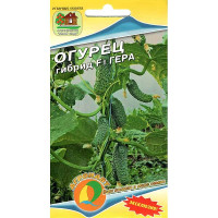 Огурец Гера Наш сад Ц