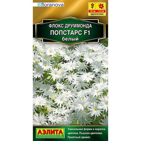 Флокс друммонда Попстарс белый Аэлита Ц