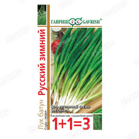 Лук батун Русский зимний 1+1 Гавриш Ц
