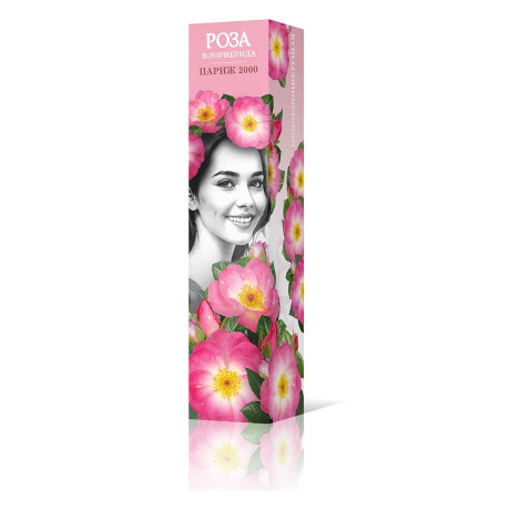 Роза флорибунда Париж 2000 Садовита