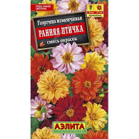 Георгин Ранняя птичка смесь Аэлита Ц