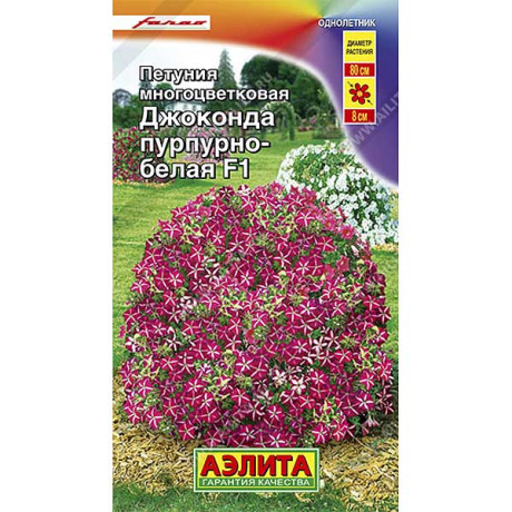 Петуния Джоконда пурпурно-белая Аэлита Ц