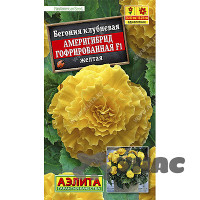 КОМ Бегония Америгибрид желтая Аэлита Ц