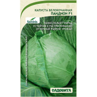 Капуста Пандион белокочанная F1 10 шт Seminis/Садовита Ц