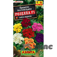 Примула Розелла смесь окрасок Аэлита Ц