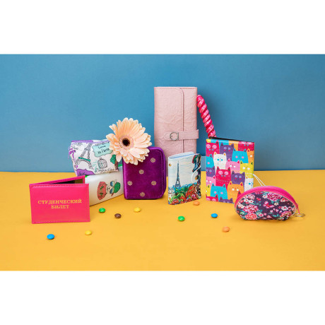 ЮL Обложка для паспорта с удерж.резинкой, с отд. для вод.удост, ПВХ, 13,7х9,6см, 2015-6, 6диз