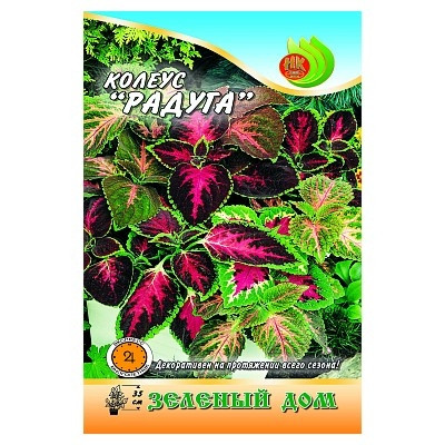 Колеус Радуга НК Ц