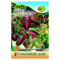 Колеус Радуга НК Ц