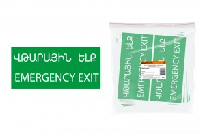 TDM Знак 200х100мм "ЗАПАСНЫЙ ВЫХОД" (армянский язык) (10!) SQ0817-0075