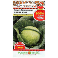 Капуста Слава 1305 НК (Первая цена) Б