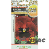 Анютины глазки Ампир Русский размер НК Ц