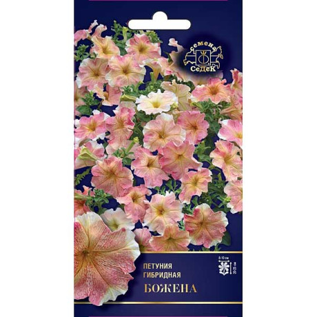 Петуния Божена Седек Ц