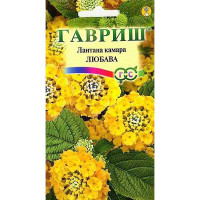 КОМ Лантана Камара Любава Гавриш Ц