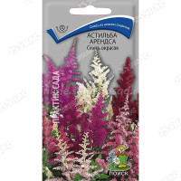 Астильба Арендса смесь Поиск Ц