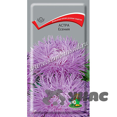 Астра Есения Поиск Ц