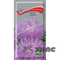 Астра Есения Поиск Ц