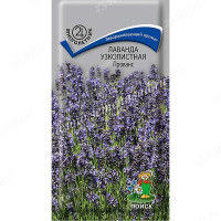 Лаванда Прованс Поиск Ц