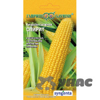 Кукуруза Спирит сах Гавриш Ц